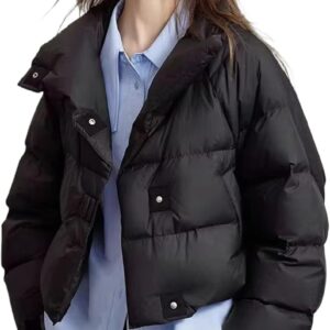 BDSWDSRT Jacket Winter Short Puffer Jacket Women Clothing Coats Warm Stand-up Collar Coat Jackets