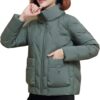 Fashion Short down Jacket Women Winter Parkas Warm Padded Coat Stand Collar Thick Casual ladies Bread clothes