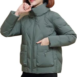 Fashion Short down Jacket Women Winter Parkas Warm Padded Coat Stand Collar Thick Casual ladies Bread clothes